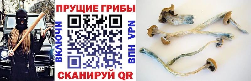 OMG зеркало  Жирновск  Галлюциногенные грибы мицелий  где купить наркоту 